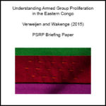 Understanding Armed Group Proliferation in the Eastern Congo