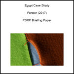 Egypt Case Study
